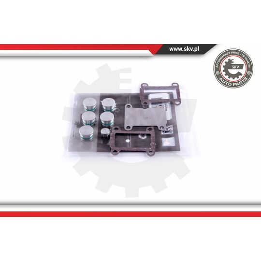 49SKV531 - Repair Kit, intake manifold module 