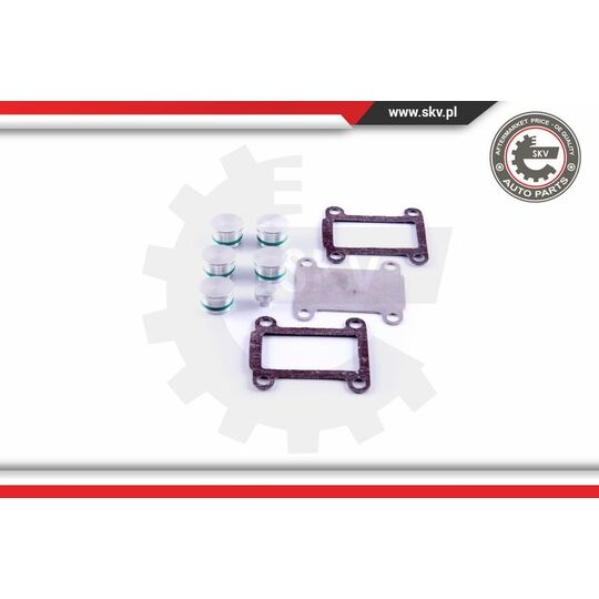 49SKV531 - Repair Kit, intake manifold module 