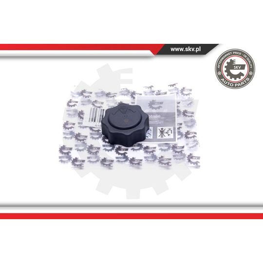 61SKV016 - Cap, coolant tank 