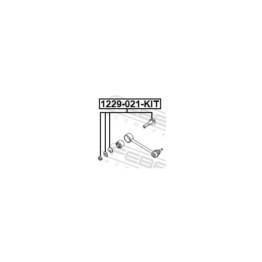 1229-021-KIT - Camber Correction Screw 