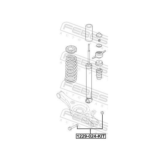 1229-024-KIT - Camber Correction Screw 