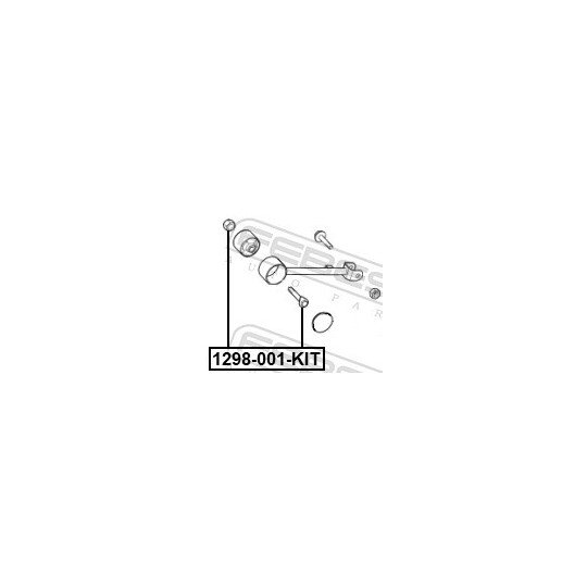 1298-001-KIT - Camber Correction Screw 