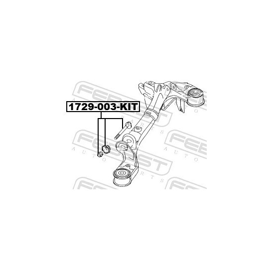 1729-003-KIT - Camber Correction Screw 