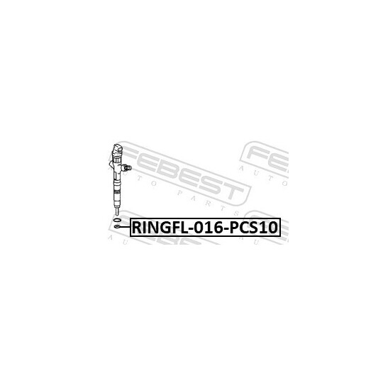 RINGFL-016-PCS10 - Seal Ring Set, injector 