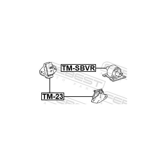 TM-SBVR - Paigutus, Mootor 