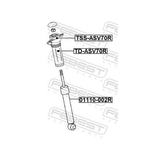 TSS-ASV70R - Mounting, shock absorbers 