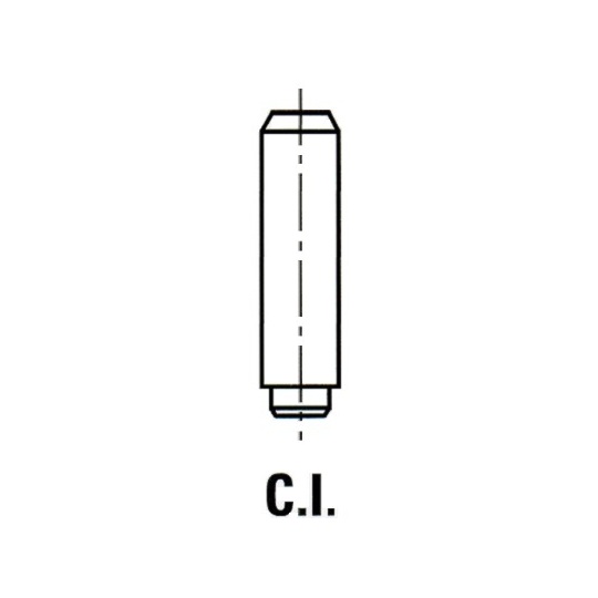 VG100100 - Valve Guides 