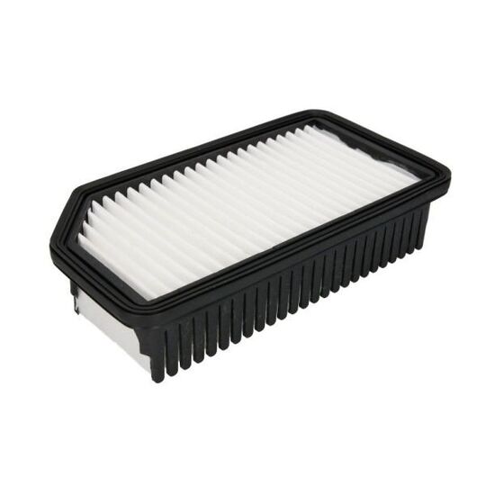 B20529PR - Air filter 