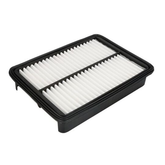 B22050PR - Air filter 