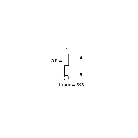 343313 - Shock Absorber 