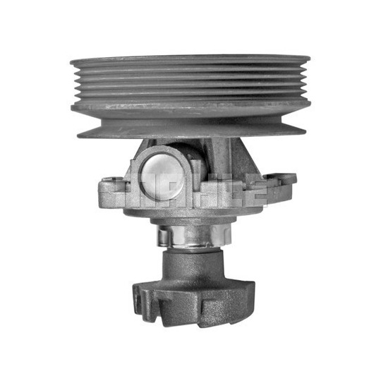 CP 251 000P - Water Pump 
