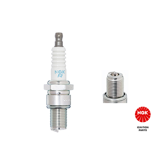 2396 - Spark Plug 