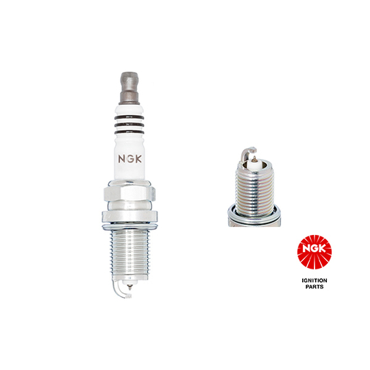 2669 - Spark Plug 