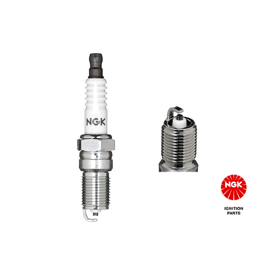 2830 - Spark Plug 