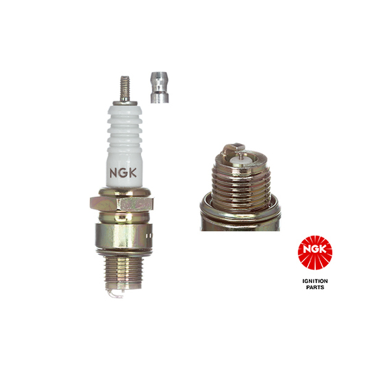 2844 - Spark Plug 