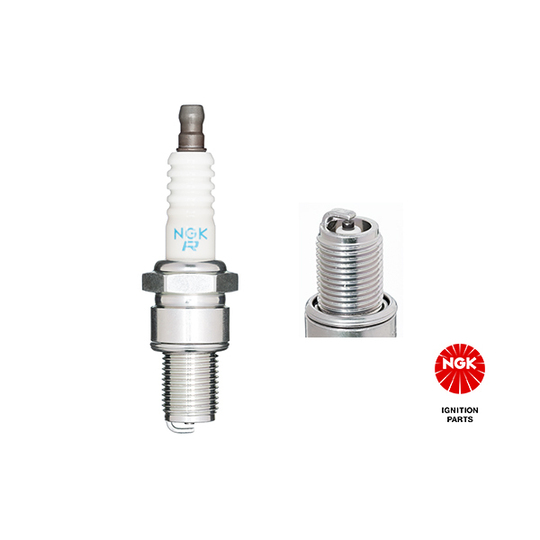 3194 - Spark Plug 