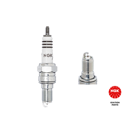 3797 - Spark Plug 