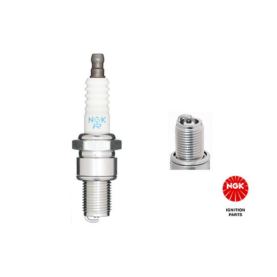 3961 - Spark Plug 