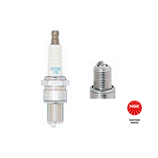 4492 - Spark Plug 