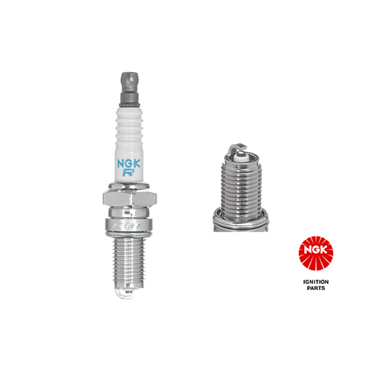 4855 - Spark Plug 