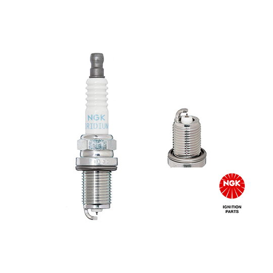 4889 - Spark Plug 