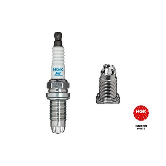 5548 - Spark Plug 