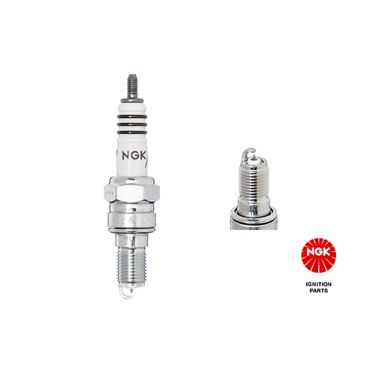 6216 - Spark Plug 