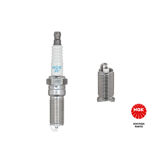 6585 - Spark Plug 