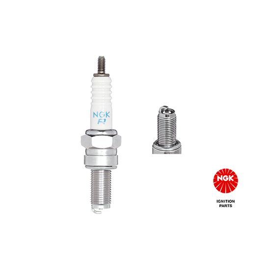 6965 - Spark Plug 