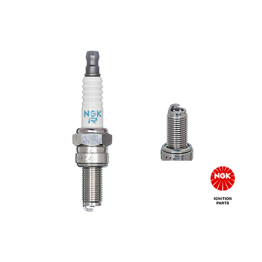 7784 - Spark Plug 