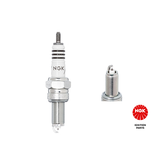 9198 - Spark Plug 