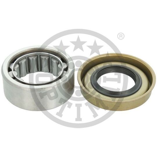 252348 - Wheel Bearing Kit 