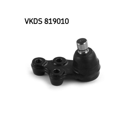 VKDS 819010 - Kande / juhtliigend 