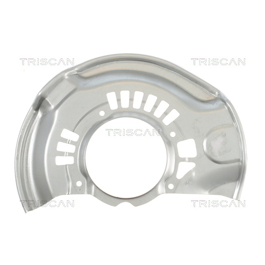 8125 13119 - Splash Panel, brake disc 