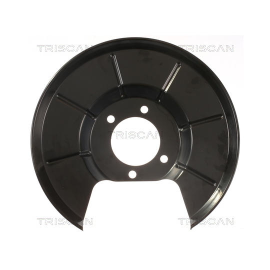 8125 16206 - Splash Panel, brake disc 