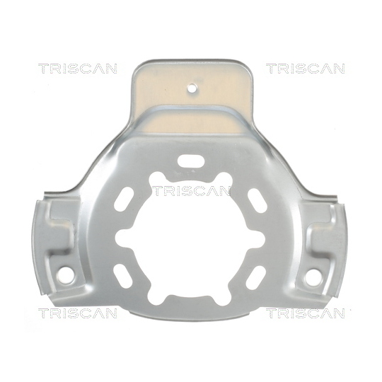 8125 24101 - Splash Panel, brake disc 