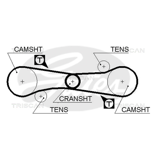 8645 5006 - Timing Belt 