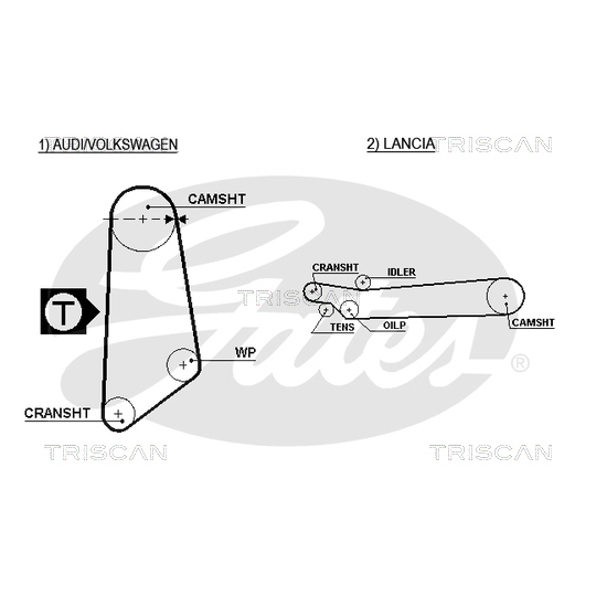 8645 5031 - Timing Belt 