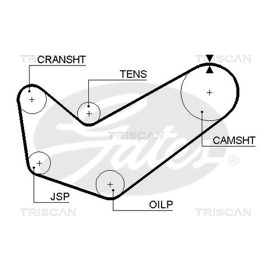 8645 5218 - Timing Belt 