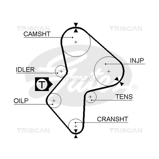 8645 5485 - Timing Belt 