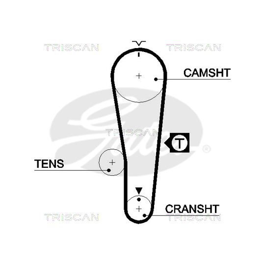 8647 10036 - Timing Belt Set 