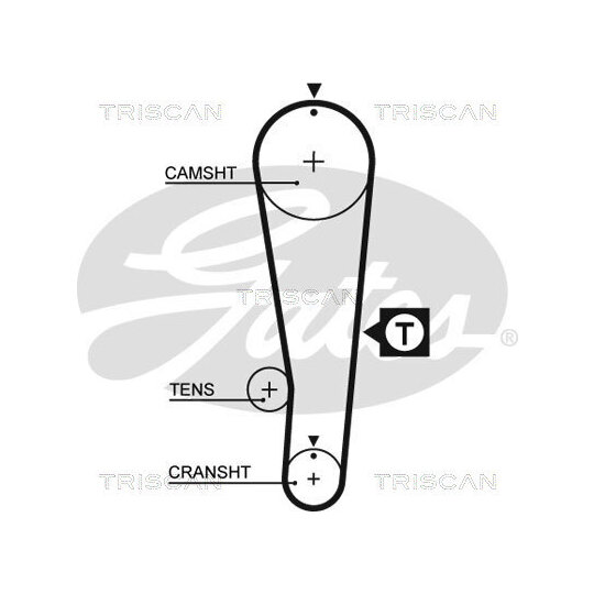 8647 10069 - Timing Belt Set 