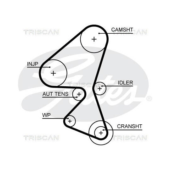 8647 10080 - Timing Belt Set 