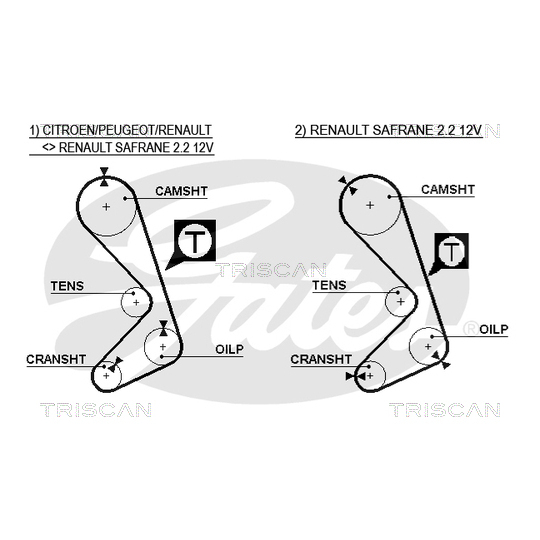 8647 25019 - Timing Belt Set 