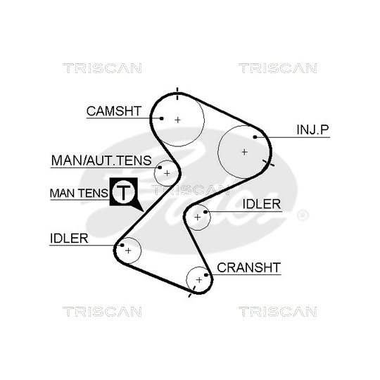 8647 25020 - Timing Belt Set 