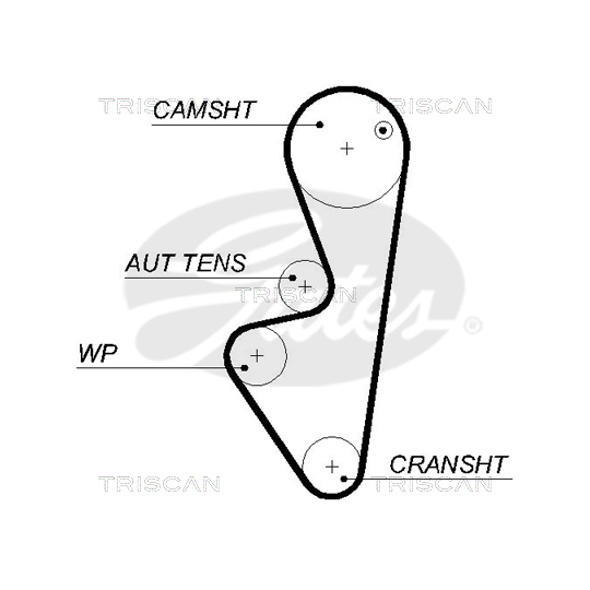 8647 28019 - Timing Belt Set 