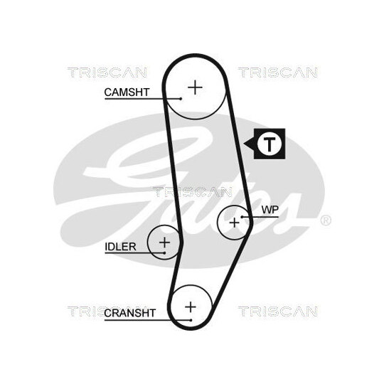 8647 29031 - Timing Belt Set 