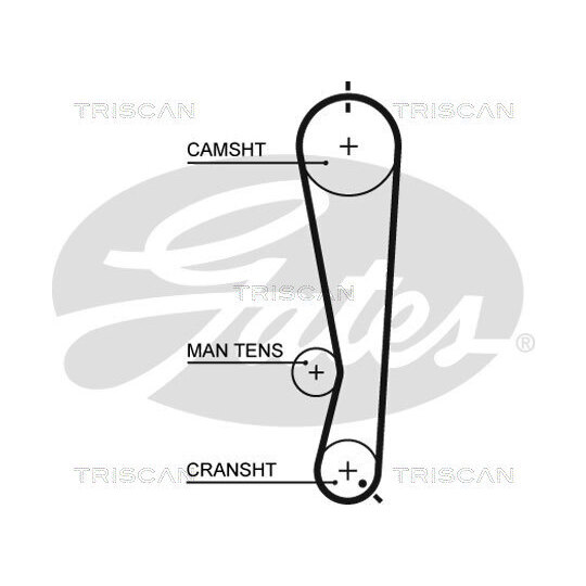 8647 41002 - Timing Belt Set 