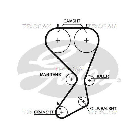 8647 43013 - Timing Belt Set 