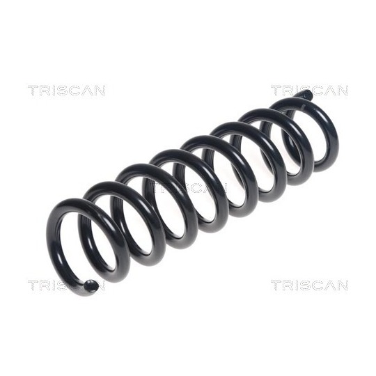 8750 11197 - Coil Spring 